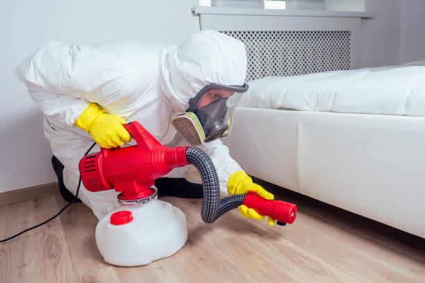 Best Fumigation Services  in Reed City, MI